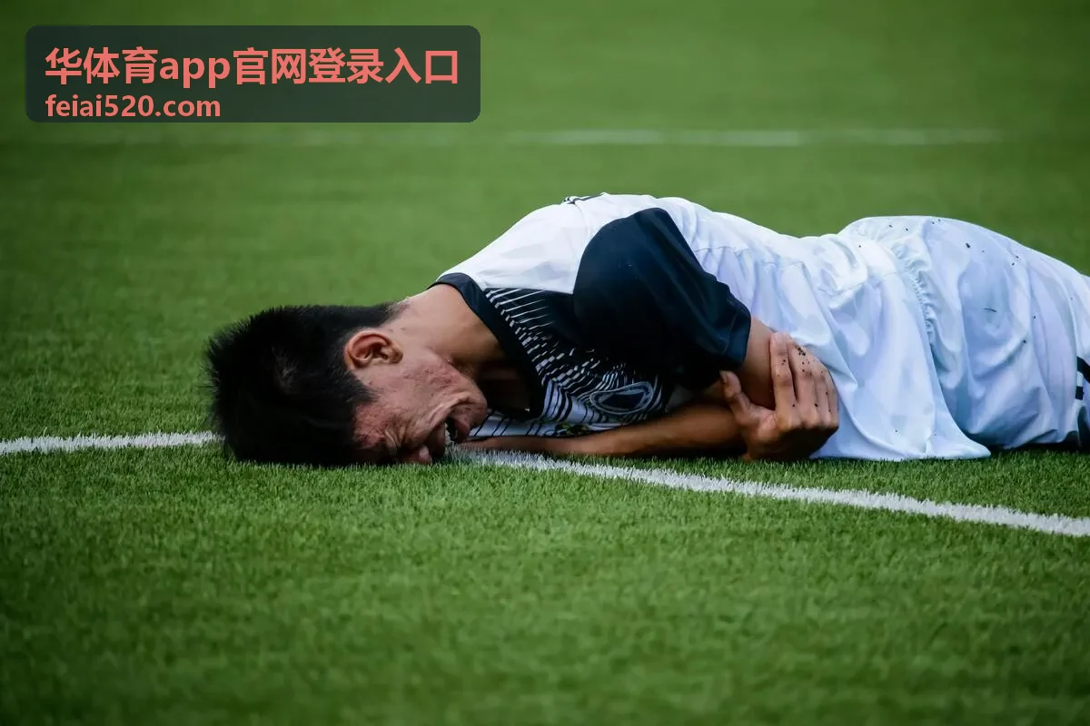 华体育app官网登录入口版本记录与文件信息核对